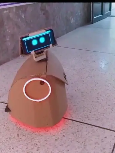 Anya companion robot
